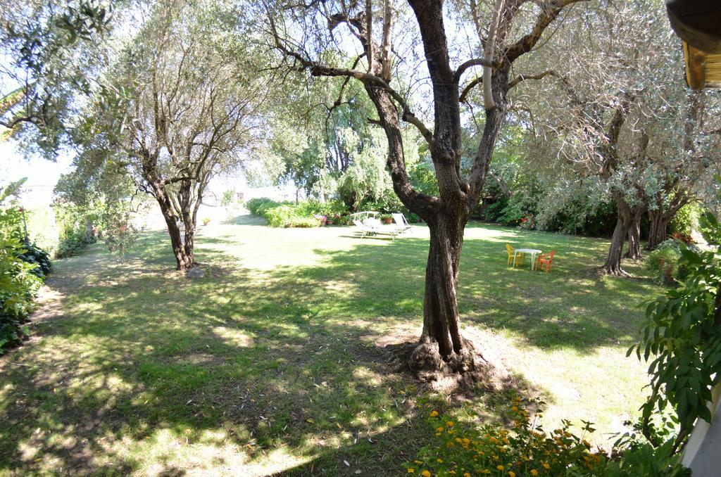 Casa Romana Viareggio Zewnętrze zdjęcie