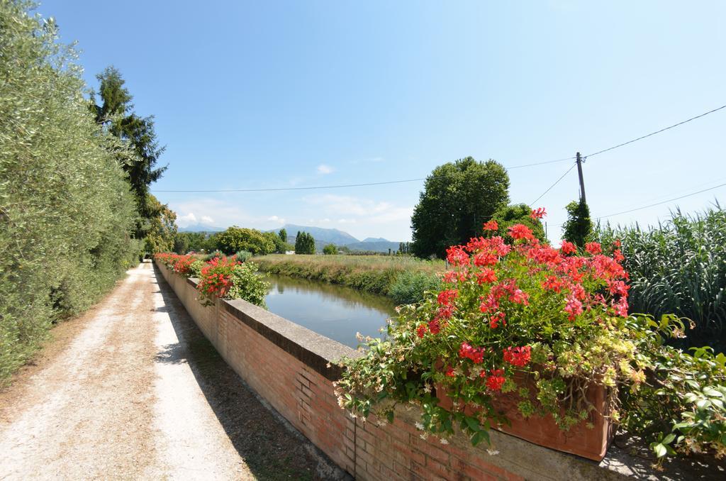 Casa Romana Viareggio Zewnętrze zdjęcie