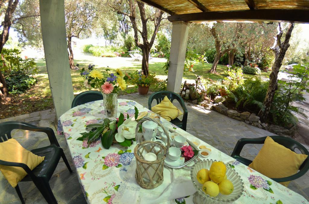 Casa Romana Viareggio Zewnętrze zdjęcie