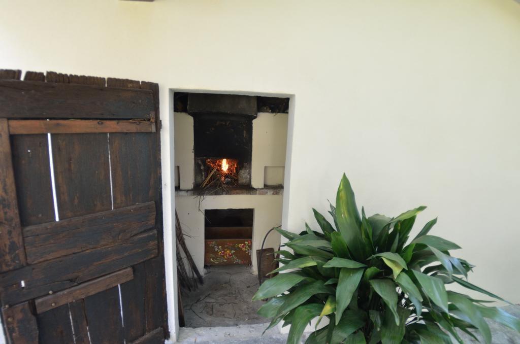 Casa Romana Viareggio Zewnętrze zdjęcie